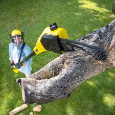 Best Tree Removal  in Sewaren, NJ