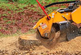 Best Weed Control  in Sewaren, NJ