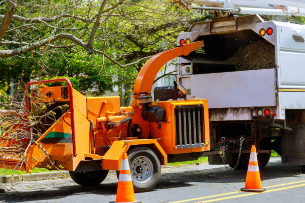 Best Lawn Dethatching  in Sewaren, NJ